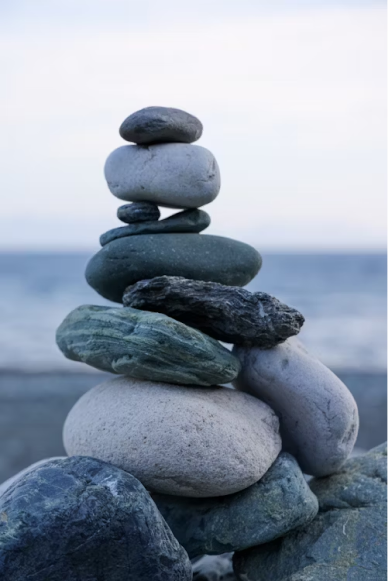 principle-image principle-image
